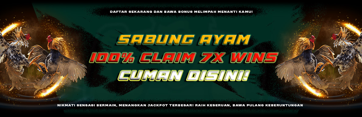 sabung-ayam